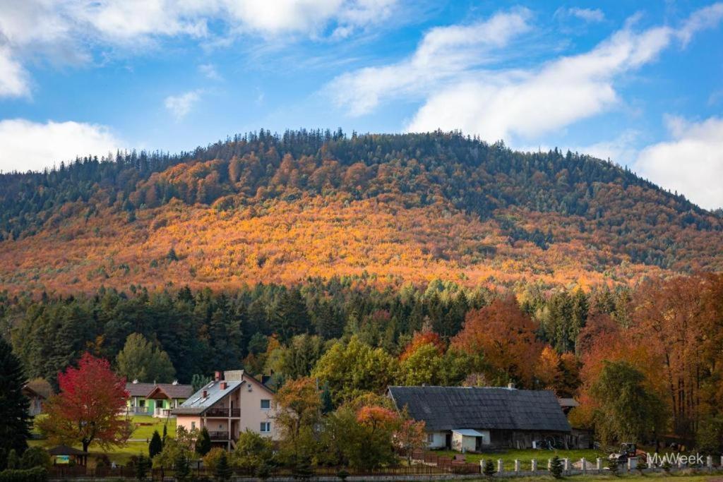 Domek Nad Zalewem Radkowskim Экстерьер фото